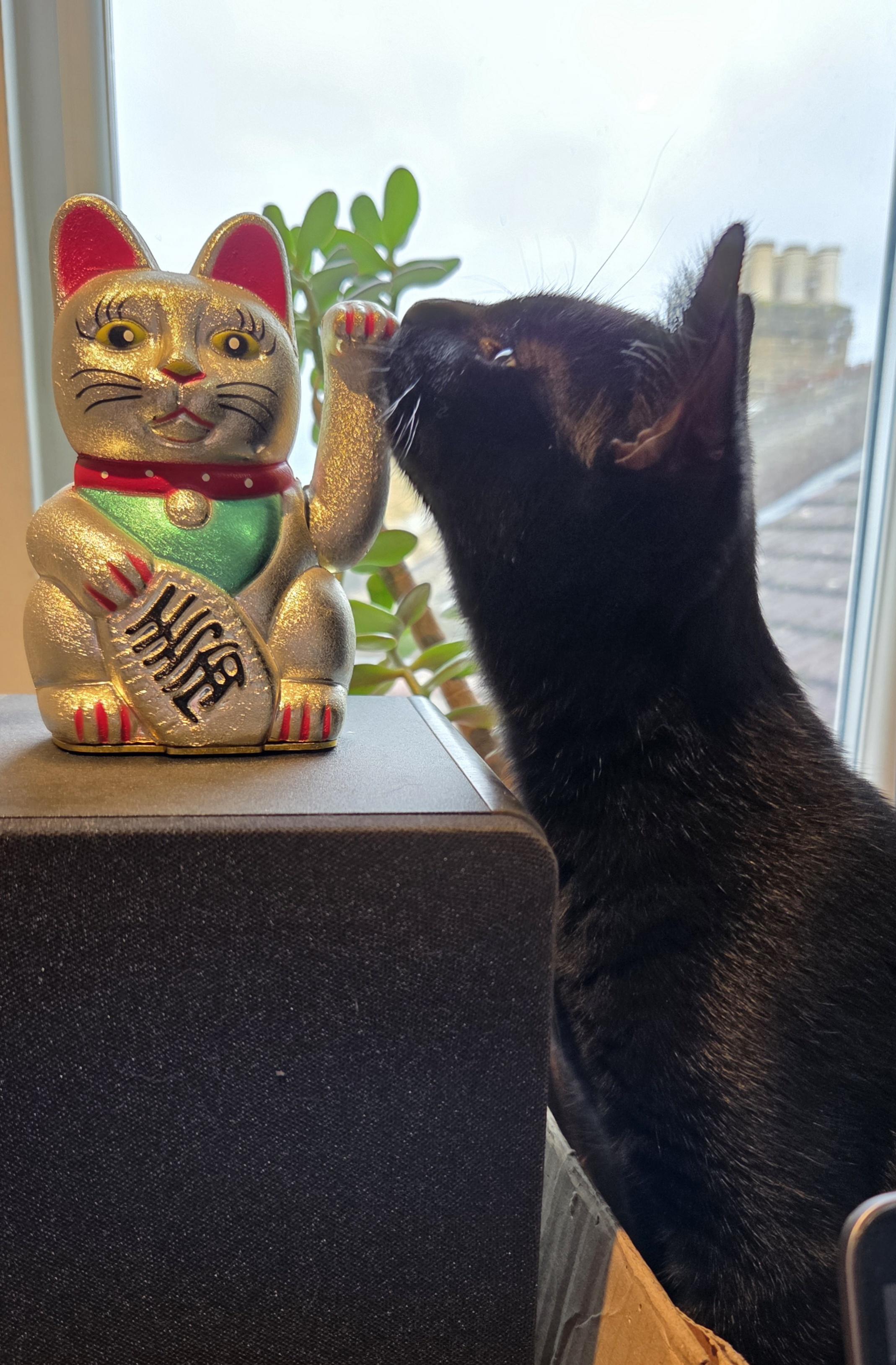 A black kitten sniffing a Maneki Neko on a speaker.